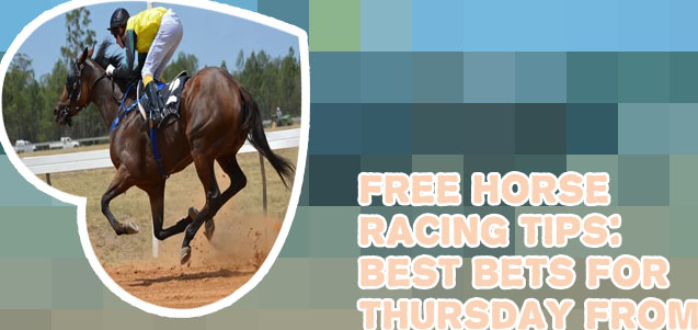 Best free horse tips