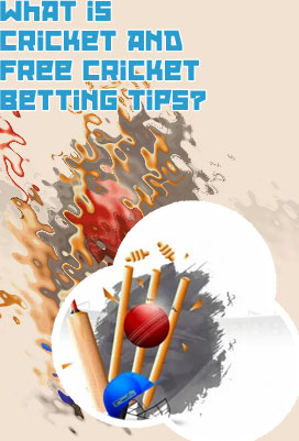 Every day free cricket tips