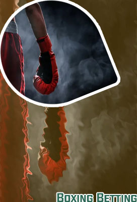 Professional boxing betting